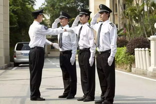 筑牢安全防线，提升居住品质 论物业管理中保安与家政服务的核心要求