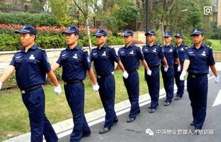 优化社区服务 物业保安规范与家政服务的协同管理